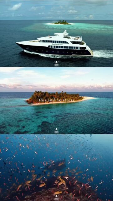 Beneath the tropical sun, a world of wonder awaits. 🌴☀️

From crystal-clear lagoons to breathtaking coral reefs, the Maldives invites you to explore its hidden treasures. With Blueforce Fleet, every descent reveals a new story, every encounter brings pure joy, and every moment reminds us why the ocean is truly extraordinary.
.
.
@blueforcefleet 
.
.
#maldivesblueforceone #maldivesblueforce3 #blueforceredsea #scubadiving #maldive