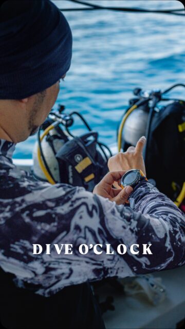 “The ocean stirs the heart, inspires the imagination, and brings eternal joy to the soul.”
“When seen from outer space, our beautiful blue planet has no national boundaries.”
.
.
@blueforcefleet 
.
.
#blueforcefleet #maldivesblueforce #blueforceone #scubadiverslife #visitmaldives #maldives #liveaboard #ocean #oceanlover #diving #scubadive