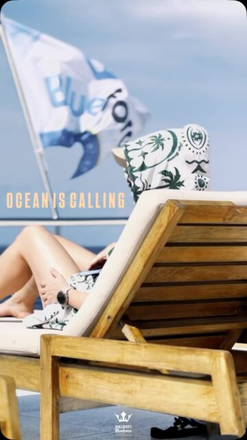 Ocean is calling! Live the moment, peeps!
Dive into adventure and let the waves carry you away.
.
.
@blueforcefleet 
.
.
#maldivesblueforceone #maldivesblueforce3 #blueforceredsea