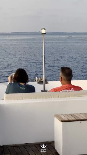 Do you dream about? #scubalife 
.
.
@blueforcefleet 
.
.
#maldivesblueforceone #maldivesblueforce3