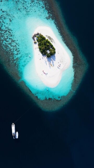 The Maldives is globally known for its clear, warm tropical waters and rich biodiversity. 

Divers aboard Blue Force 3 visit prime reef and channel dive sites across the Central and Southern Atolls, with ecosystems shaped by ocean currents feeding healthy coral growth and attracting abundant marine life.
.
.
@blueforcefleet 
.
.
#maldivesblueforceone #maldivesblueforce3 #blueforceredsea #scubadive #maldives