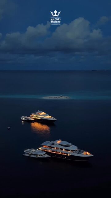 Savor the taste of paradise with Blueforce beach BBQ, ocean whispers, and a setup designed for pure comfort every moment and every sunset feels magical.”
.
.
@blueforcefleet 
.
.
#maldivesblueforceone #maldivesblueforce3 #blueforceredsea #blueforcefleet #maldives