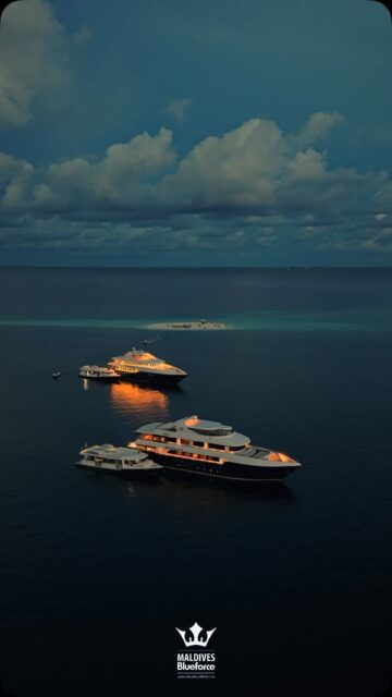 New season. New horizons. One fleet that turns every dive into a masterpiece,Step aboard Blueforce Fleet where the ocean meets excellence, and every journey becomes unforgettable.
.
.
@blueforcefleet 
.
.
#maldivesblueforceone #maldivesblueforce3 #blueforceredsea #scubadiverslife #maldives