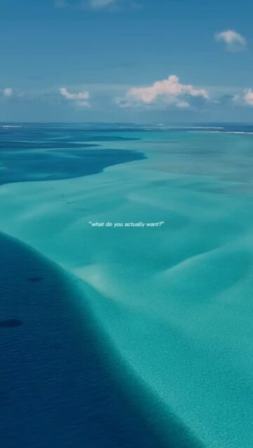 With Blueforce, every dive is more than an adventure it’s a journey through crystal clear waters, unforgettable encounters, and the wild beauty of the Maldives. Dive deeper, explore further, and make every moment beneath the ocean one to remember.
.
.
@blueforcefleet 
.
.
#maldivesblueforce #blueforcefleet #liveaboard #maldives #scubadiving